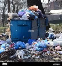 Best Hoarding Cleanup  in Alvin, TX